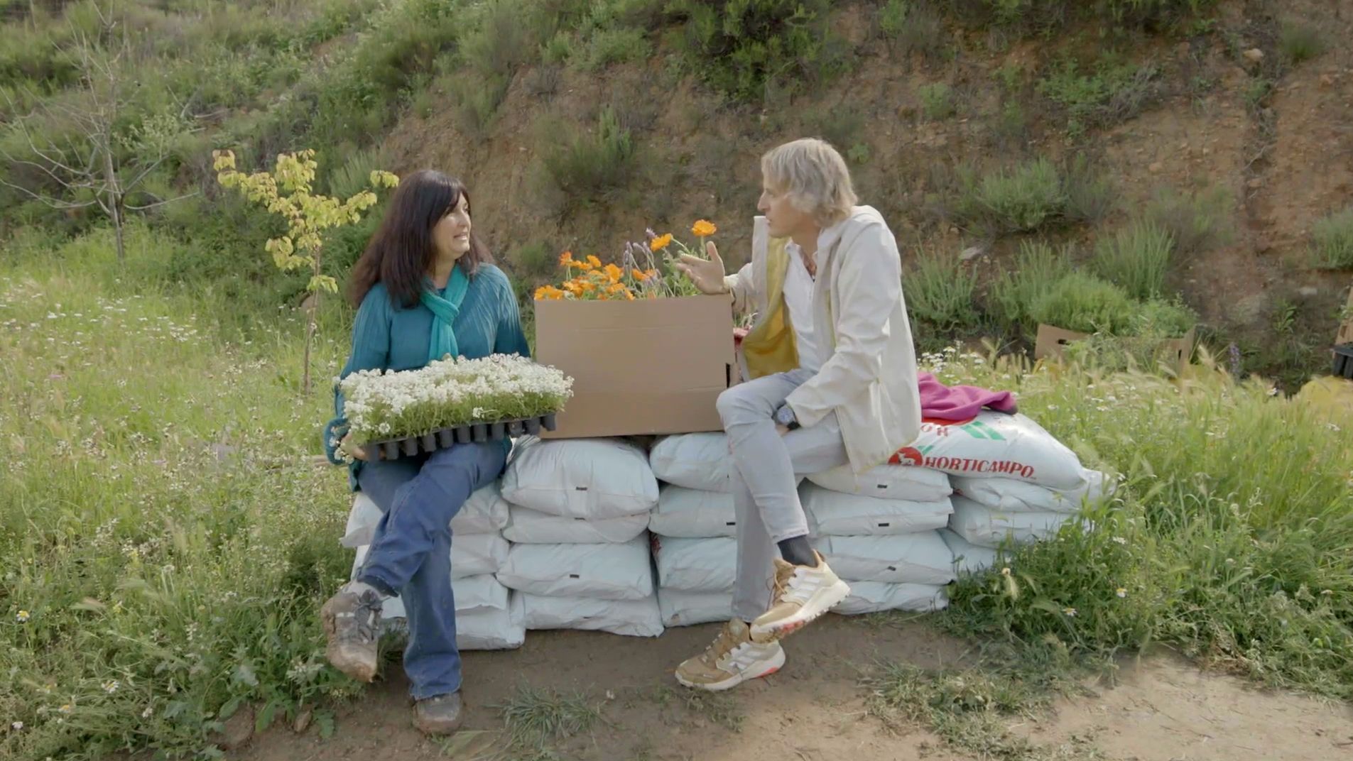 Ayudar en la reforestación del Valle de Andarax, nueva misión de ‘Volando Voy’