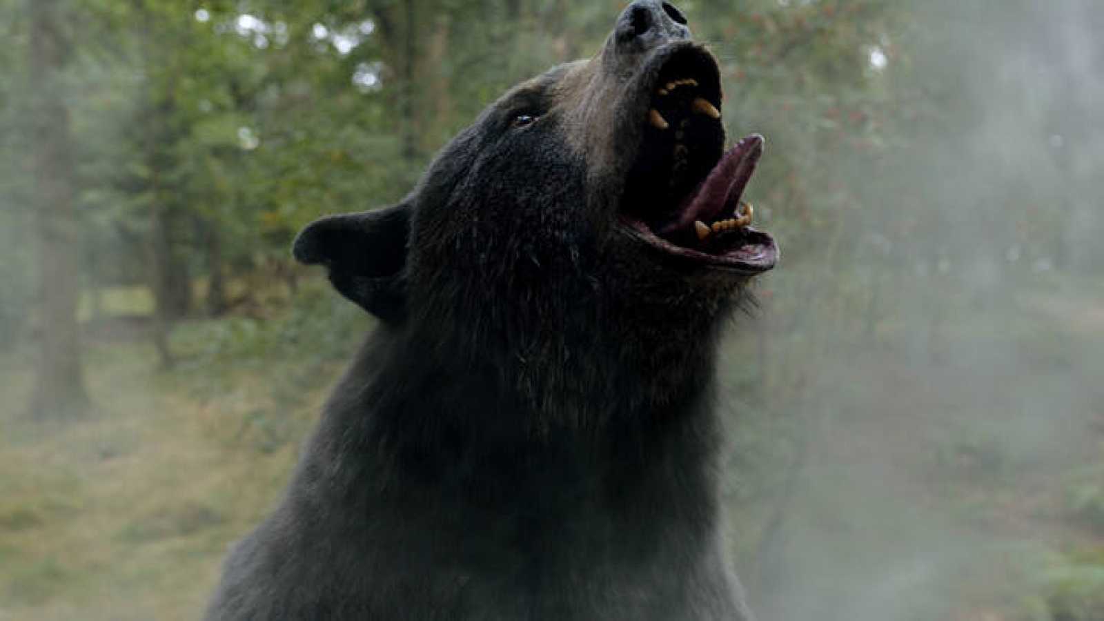 Universal hace el ridículo con Oso Vicioso, su nueva y decepcionante película