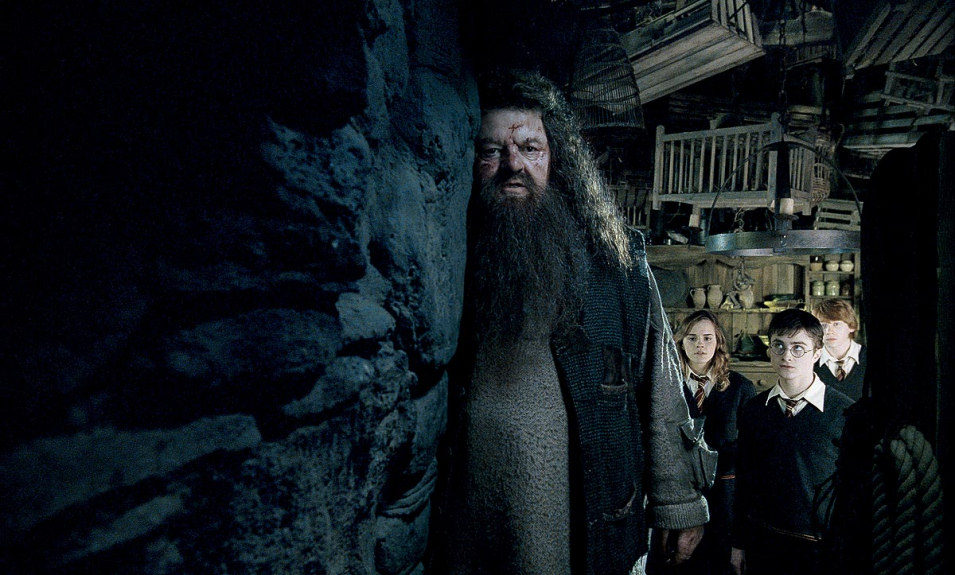Robbie Coltrane apareció en la saga de películas