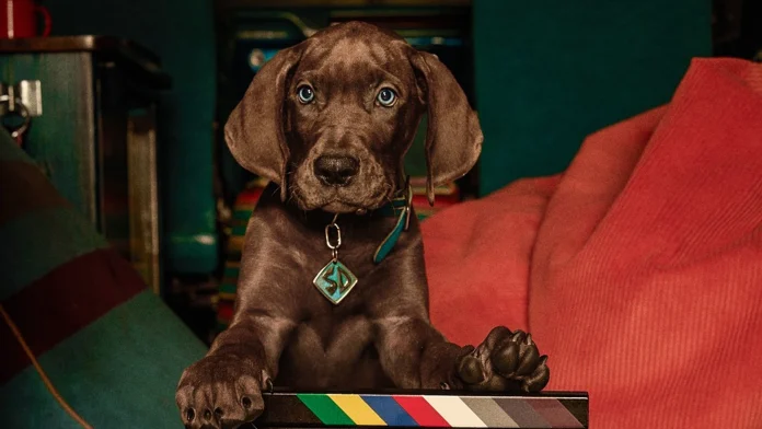 Scooby-Doo