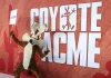 Coyote vs. Acme